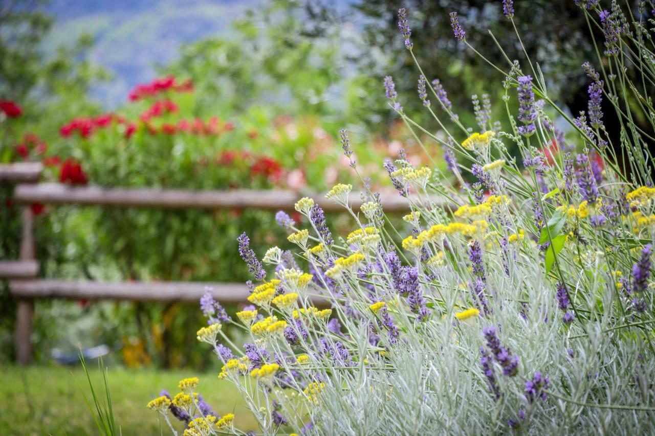Cebron Family Estate Hotel Branik Luaran gambar