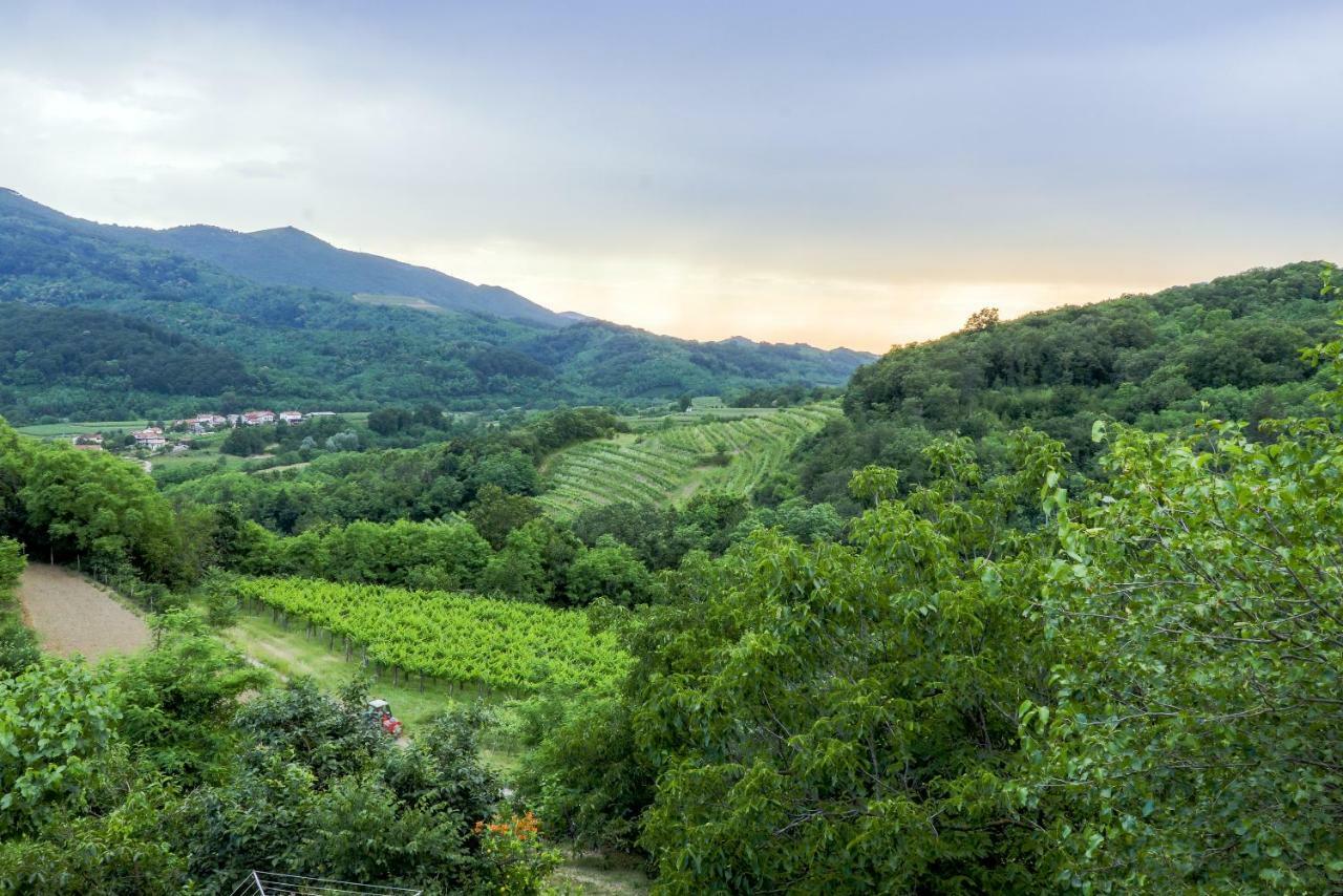 Cebron Family Estate Hotel Branik Luaran gambar