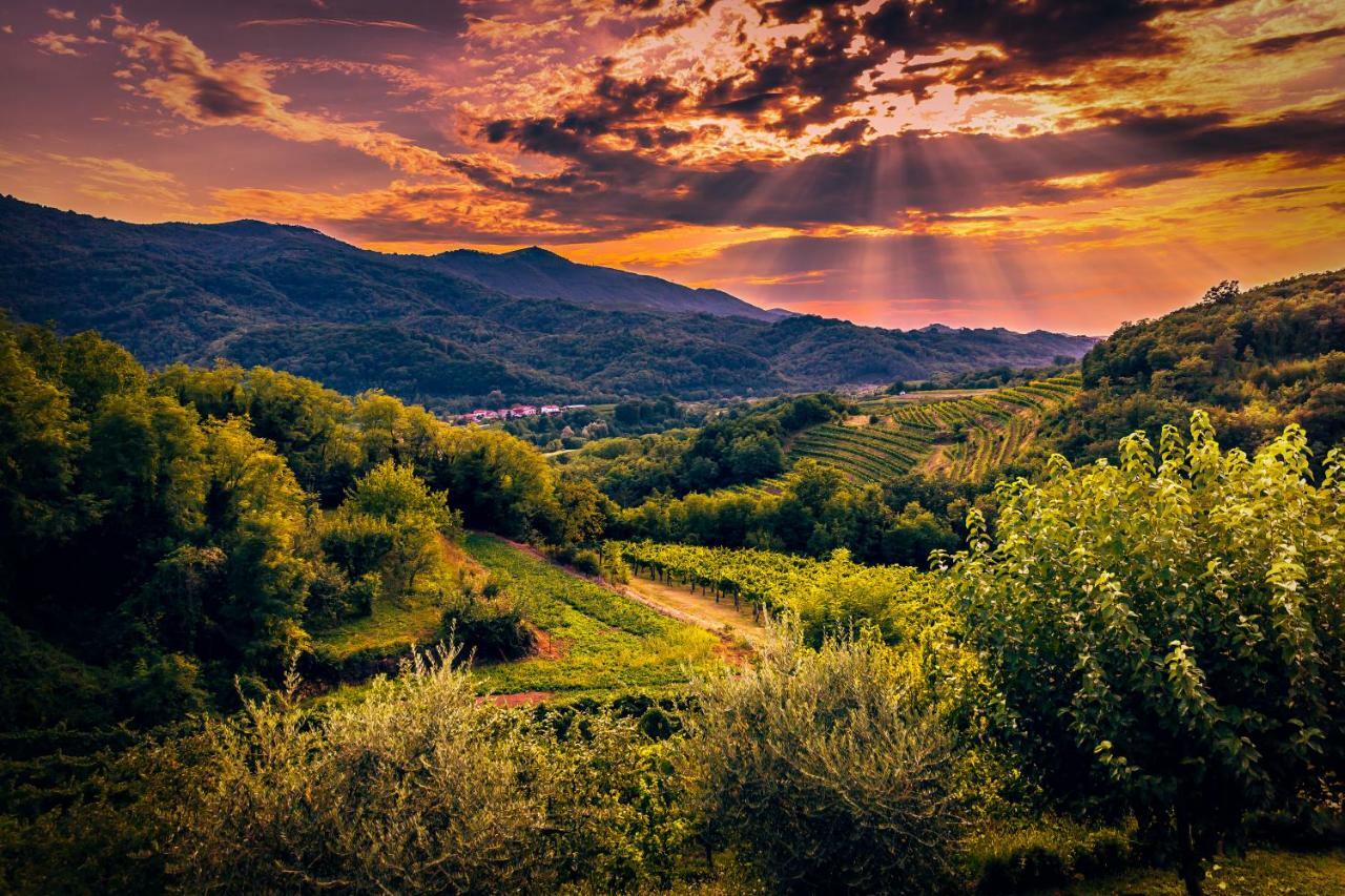 Cebron Family Estate Hotel Branik Luaran gambar