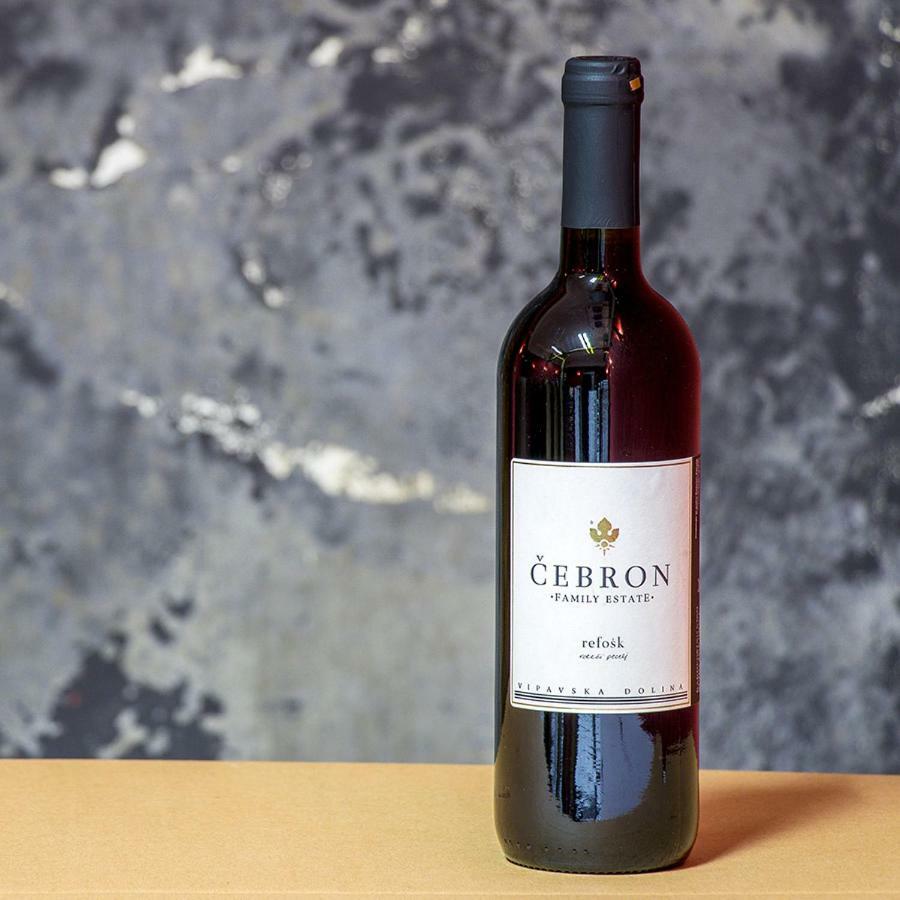 Cebron Family Estate Hotel Branik Luaran gambar